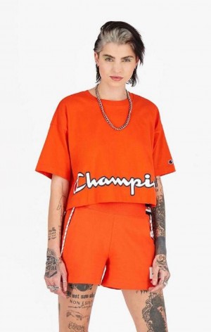 Champion Cropped Script Logo T-Shirt Női Póló Narancssárga | 3160-NJLFR