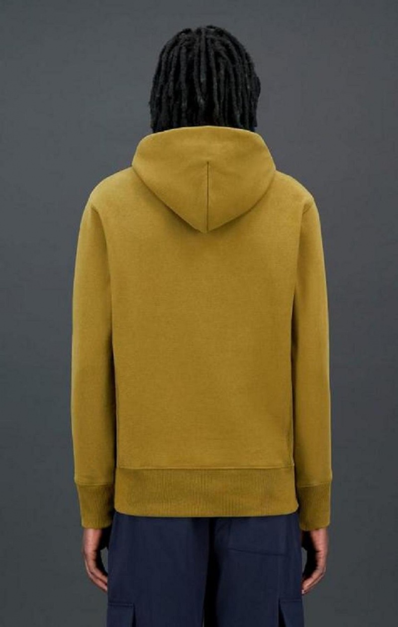 Champion Pittsburgh MLB Reverse Weave Hoodie Férfi Kapucnis Pulóver Olivazöld Zöld | 4721-RALNB