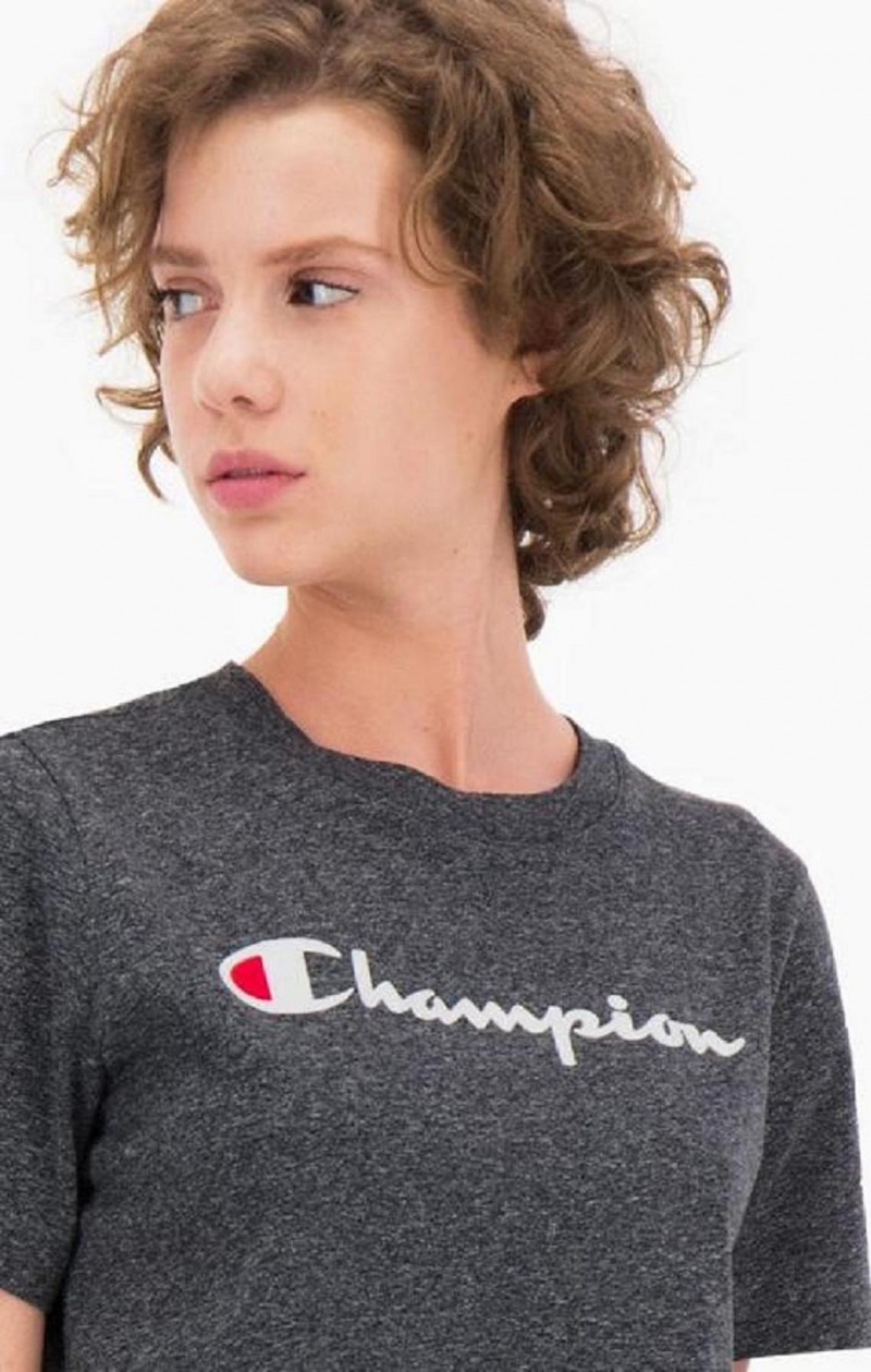 Champion Velvet Script Logo T-Shirt Női Póló Világos Szürke | 6539-YDPOZ