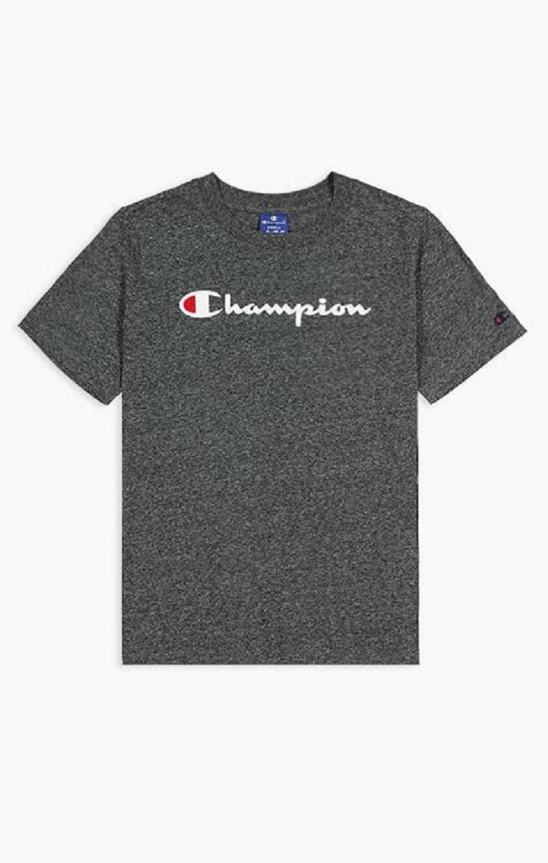 Champion Velvet Script Logo T-Shirt Női Póló Világos Szürke | 6539-YDPOZ